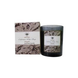 Bougie Green Tree , sauge blanche Bougie Green Tree , sauge blanche