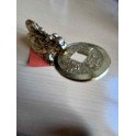Tortue à tête de Dragon, 